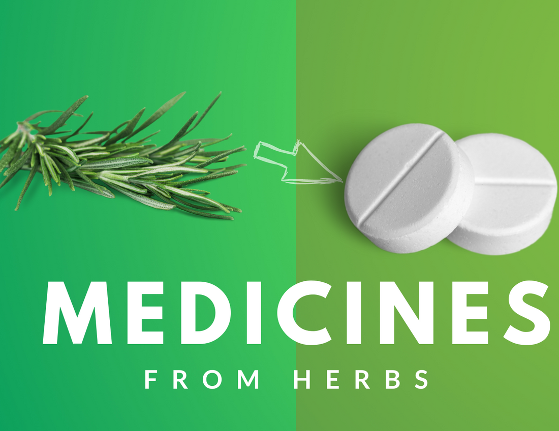 3 popular medicines that originated from herbs