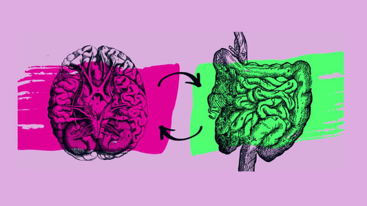 Relationship between the gut and the brain