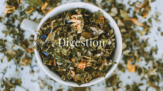 Herbs to improve digestion and gut health